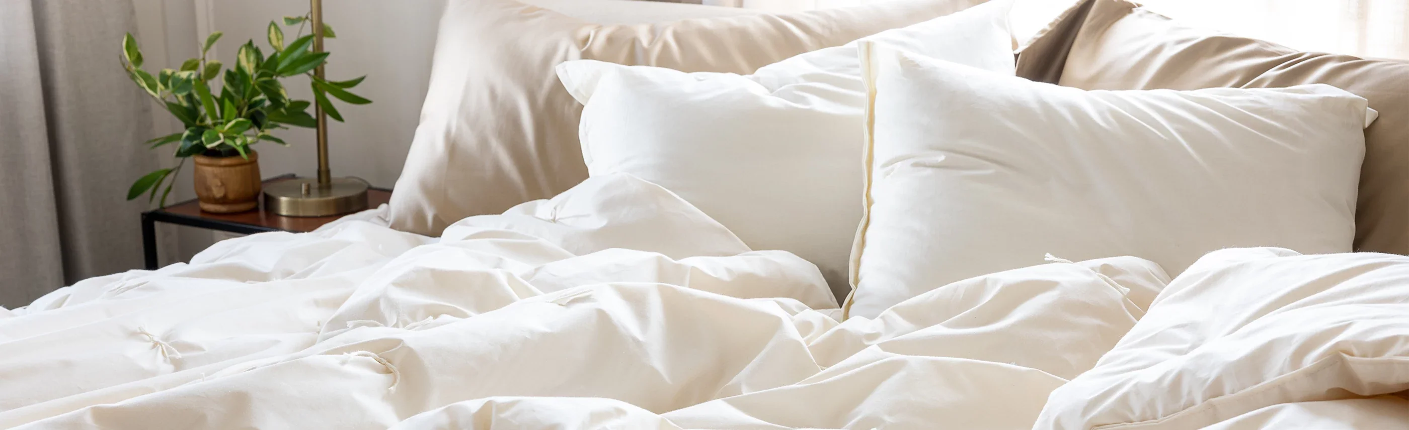 Pure Comfort Since 1894